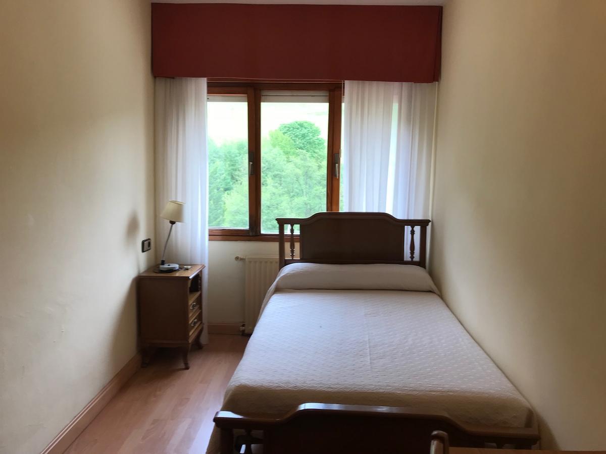 Hotel Penagrande Cangas De Narcea Exteriér fotografie